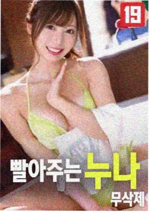 祈祷落幕时 母女的轨迹 海报